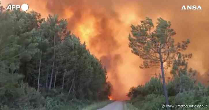 Francia, bruciano mille ettari di foresta nel sud della Gironda: le impressionanti immagini