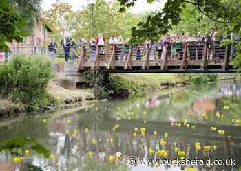 Buckingham University Duck Race will return this summer after three-year hiatus - Bucks Herald