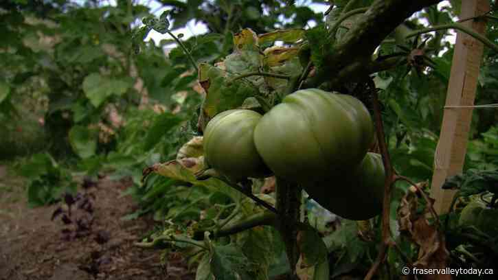 Canada’s ag industry well positioned to handle inflation, higher interest rates: Farm Credit Canada