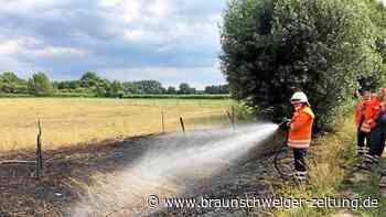 Feuerwehr löscht Böschungsbrand bei Meinersen mit viel Wasser