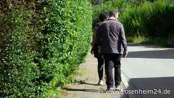 Wildwuchs im Straßenverkehr: Wenn Hecken zum Ärgernis werden