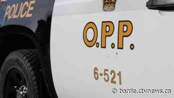 Ruckus at Ramara marina results in arrest