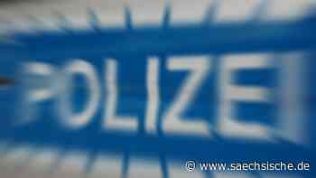 Polizei treibt freilaufende Kuh in Bröthen-Michalken zurück - Sächsische.de