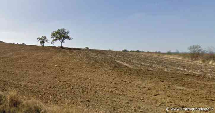 Tessennano, il paese “ad alto potenziale archeologico” in cui saranno costruiti due impianti fotovoltaici. Soprintendenza “battuta”