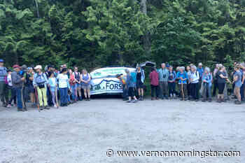 Solstice steps: Armstrong groups team up for night hike – Vernon Morning Star - Vernon Morning Star