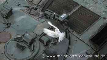 Russland erleidet schwere Verluste im Ukraine-Krieg: Ukraine wehrt Offensive in Donezk ab