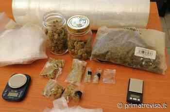 Oderzo, denunciato ultrasessantenne: in casa droga e materiale per il confezionamento - Prima Treviso