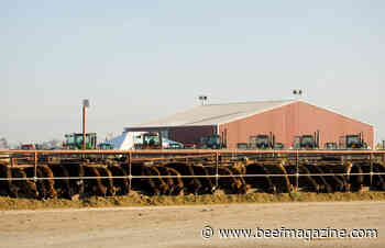 Meat and poultry production forecast lowered