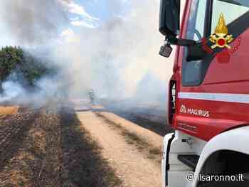 Dopo Saronno, bruciano le campagne a Tradate e Castiglione - ilSaronno