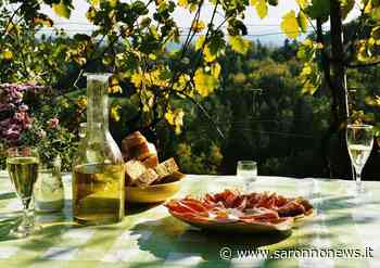 Cosa fare nel weekend a Saronno e dintorni: gli eventi del 17, 18 e 19 giugno - SaronnoNews.it