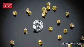 Diamanten aus Kot: Abgesagtes Kunstprojekt in Jena wirft immer mehr Fragen auf