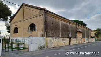 Albenga, all’asta la “scuderia dei quadrupedi” - La Stampa
