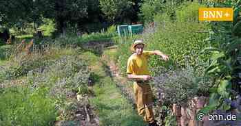 Karlsruher Imker kämpft für Trockenmauer – aber Verwaltung bleibt stur - BNN - Badische Neueste Nachrichten