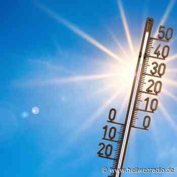 Kommunen im Kreis Soest bereiten sich auf Hitze vor - Hellweg Radio