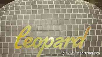 'Leopard' Opening Up in Edmonton - iHeartRadio.ca