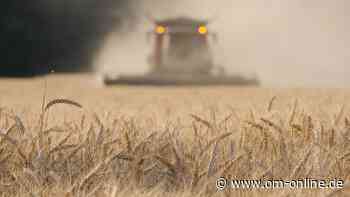 Im Kreis Cloppenburg fehlen bereits 84 Liter Regen – auf jedem Quadratmeter - OM online - OM Online