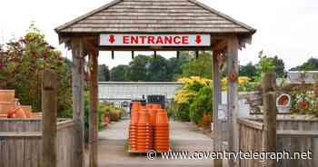 The top 5 garden centres around Coventry according to Google reviews - Coventry Live