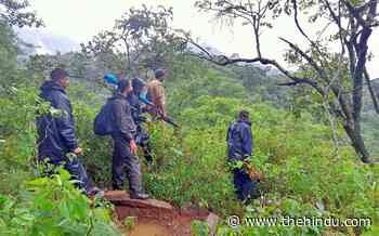 Elephants chased back into forest in Wayanad - The Hindu