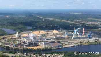 Resolute Forest Products is set to be sold, but company officials promise business as usual for Thunder Bay - CBC.ca