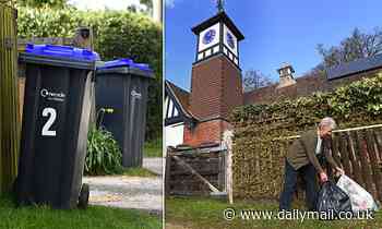 Fury over plans to introduce wheelie bins in the New Forest - Daily Mail