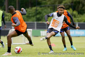 Report: Nottingham Forest interested in Chelsea gem Ian Maatsen - Nottingham Forest News