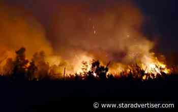 Wildfire at Hawai‘i Volcanoes National Park burning through native forest - Honolulu Star-Advertiser