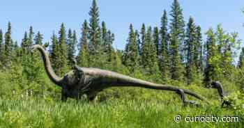 Alberta’s own Jurassic Park reopened for the season and now has a ‘stay & play’ option - Curiocity