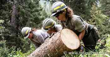 Trail crews work through summer to ensure public access - Idaho Mountain Express and Guide