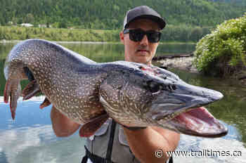 Invasive species fish out derby coming to Columbia River - Trail Times