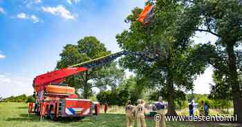 Amerikaanse militair belandt in boom na sprong uit vliegtuig boven Teuge - De Stentor