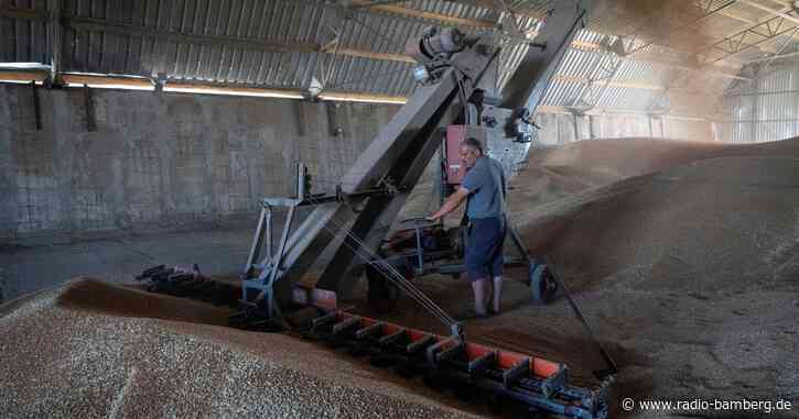UN-Chef: Entscheidender Schritt zur Lösung von Getreidekrise