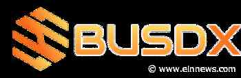 Next cryptocurrency to explode in 2022 – An insight to BUSDX - EIN News