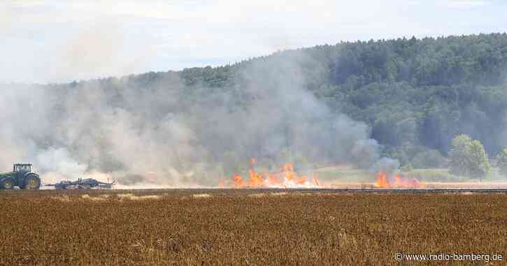 Fünf Hektar großes Weizenfeld abgebrannt