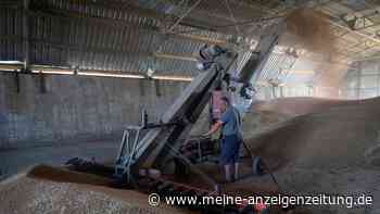 Erster Durchbruch im Streit um ukrainische Getreideexporte