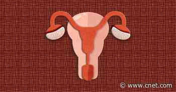 Common Abortion and Pregnancy Terms, Explained     - CNET