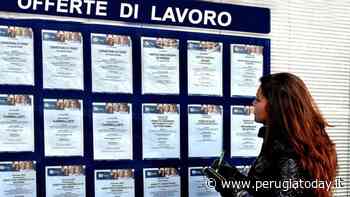 Offerte di Lavoro per Perugia, Corciano, Terni e Massa Martana: dal barista al bancone di un supermercato - PerugiaToday