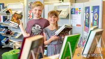Schüler lesen außerhalb der Schule: 18 Bücher in sechs Wochen – Ferien-Leseclub in SH jetzt auch digital - shz.de