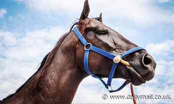 Some highly inbred horses have a marker that lowers their probability of being fit to race