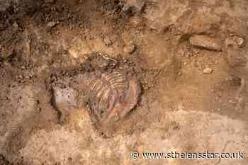 Scottish archaeologist among those to discover rare Napoleonic remains - St Helens Star