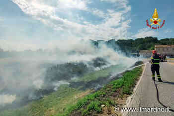 Fermo, incendio in un canneto: le fiamme minacciano la strada - Il Martino