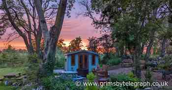 Shortlist for summer's biggest vote: Shed of the Year 2022 - Grimsby Live