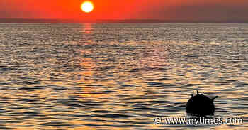 A Safe Passage for Grain