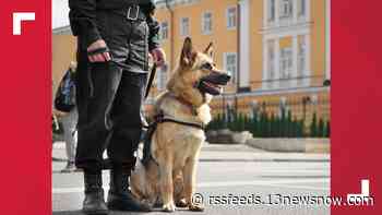 6 Hampton Roads colleges, universities receive bomb threats