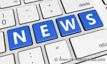 Ex-Farnham council leader asks 'do we still want a pedestrian town centre?' | farnhamherald.com - Farnham Herald