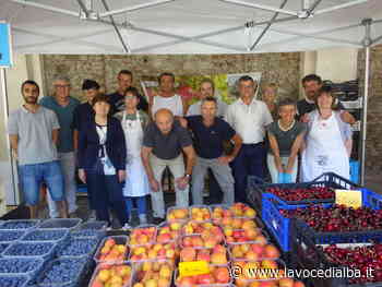 Bra, il gusto dell’estate al Mercato della Terra in programma domenica 17 luglio dalle ore 8 - LaVoceDiAlba.it