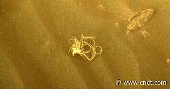 NASA Mars Rover Spots Spaghetti-Like Object     - CNET