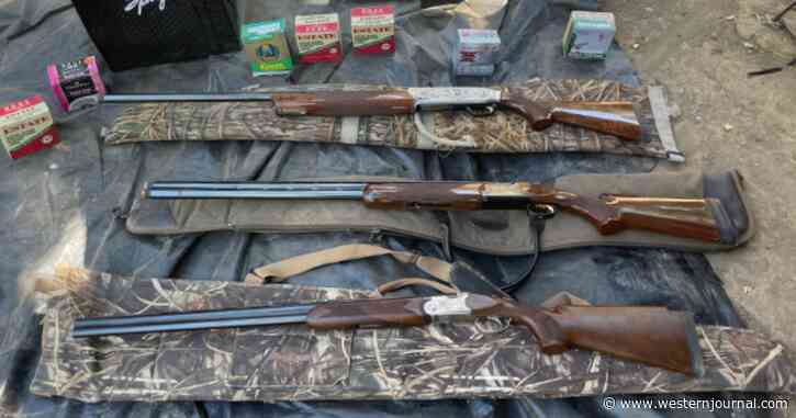 Cops Discover Underground Secret at Homeless Encampment, Find Bunker with Alarming Cache of Weapons, Goods