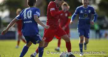 Broadmeadow play catch-up against Lambton Jaffas with Australia Cup trip in mind: NNSW NPL - Newcastle Herald