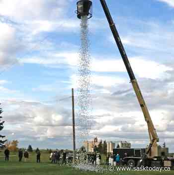 Weyburn, Estevan Rotary Clubs selling golf ball drop tickets - SaskToday.ca