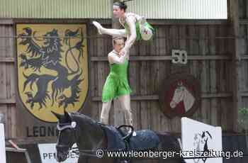 Voltigieren - Verletzungspech für heimische Teams - Leonberger Kreiszeitung